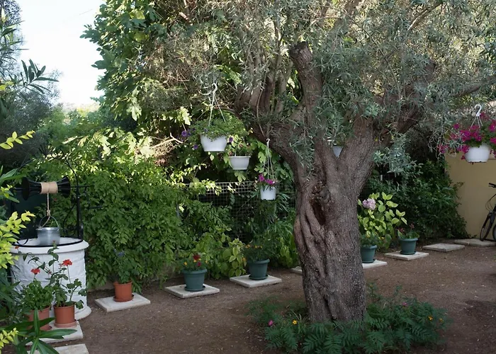 Lefkada Summer House Near The