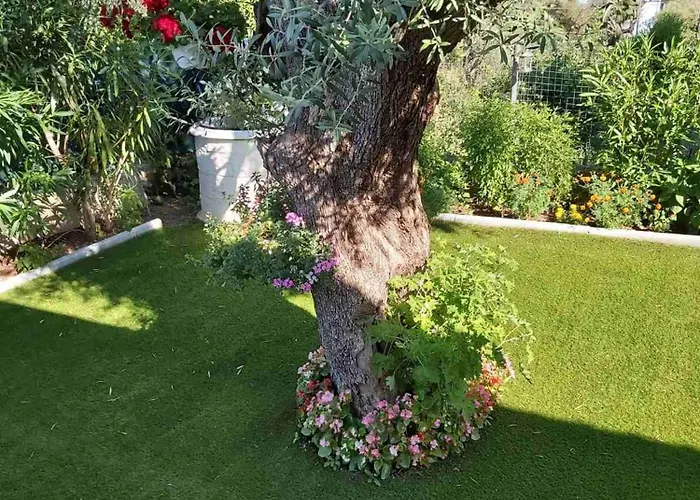 Lefkada Summer House Near The *