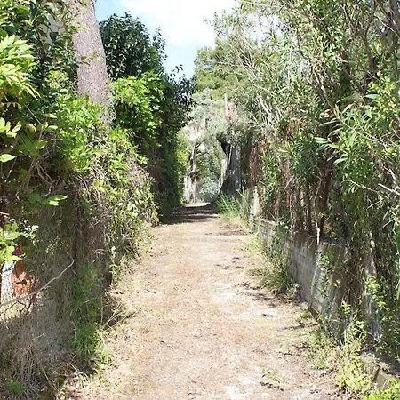 Holiday home Lefkada Summer House Near The